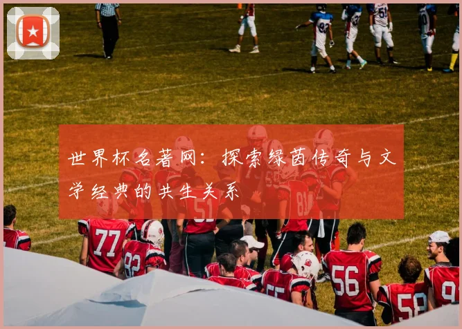 世界杯名著网：探索绿茵传奇与文学经典的共生关系